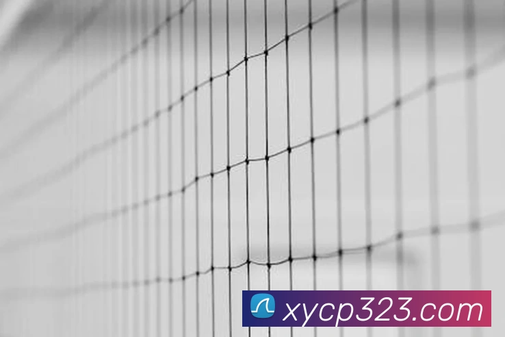 幸运彩票xycp服务体系